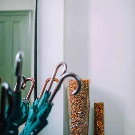 Sopocka Apartamento *